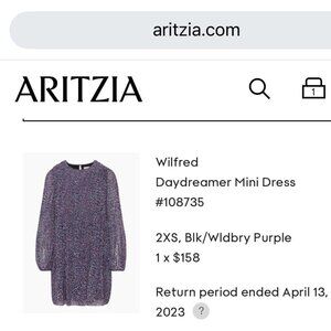 Aritzia Wilfred Daydreamer Mini Dress